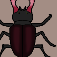 Thumbnail for ANI-2994: Stag Beetle (M)