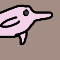 Thumbnail for ANI-2997: Amazon River Dolphin (F)