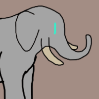 Thumbnail for ANI-3000: African Bush Elephant (M)