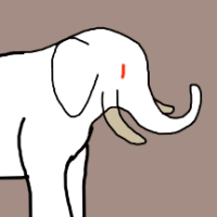 Thumbnail for ANI-3001: Albino African Bush Elephant (M)