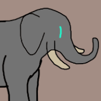 Thumbnail for ANI-3002: African Elephant (F)