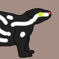 Thumbnail for ANI-3003: Pygmy Spotted Skunk (F)