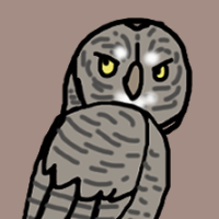 Thumbnail for ANI-3006: Great Grey Owl (M)