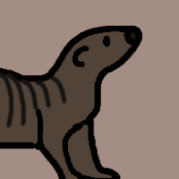 Thumbnail for ANI-3007: Banded Mongoose (M)