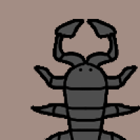 Thumbnail for ANI-3013: Flat Rock Scorpion (M)