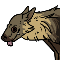 Thumbnail for ANI-3015: Brown Hyena (F)