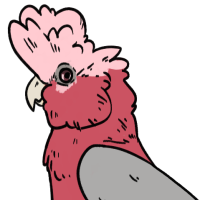 Thumbnail for ANI-3020: Cockatoo (F)