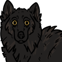 Thumbnail for ANI-3024: Alexander Archipelago wolf (F)