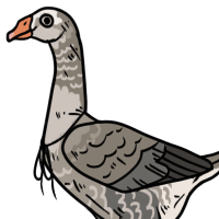 Thumbnail for ANI-3026: Domestic Goose (F)