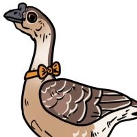Thumbnail for ANI-3028: Domestic Goose (F)