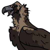Thumbnail for ANI-3030: Cinereous Vulture (F)