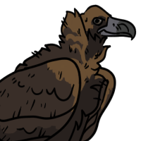 Thumbnail for ANI-3031: Cinereous Vulture (M)