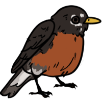 Thumbnail for ANI-3033: American Robin (M)