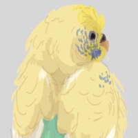 Thumbnail for ANI-3035: Parakeet (F)