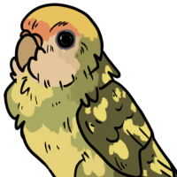 Thumbnail for ANI-3036: Lovebird (F)