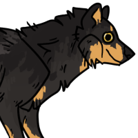 Thumbnail for ANI-3037: Chocolate & Species-Specific Grey Wolf (M)