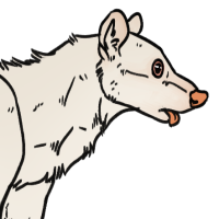 Thumbnail for ANI-3038: Albino & Leucistic & Piebald  Dire Wolf (M)