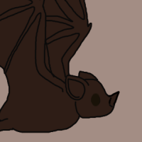 Thumbnail for ANI-3039: Kitti's Hog-Nosed Bat (F)