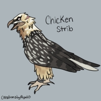 Thumbnail for ANI-3042: Chicken Strib
