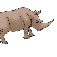 Thumbnail of ANI-3045: White Rhinoceros (F)