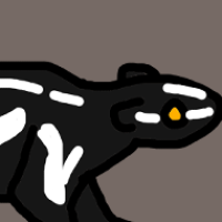 Thumbnail for ANI-3053: Pygmy Spotted Skunk (F)