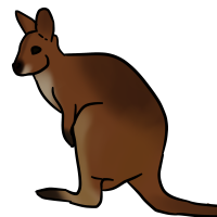 Thumbnail for ANI-3055: Red Necked Wallaby (F)