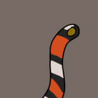 Thumbnail for ANI-3064: Milk Snake (F)