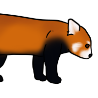 Thumbnail for ANI-3073: Red Panda (M)