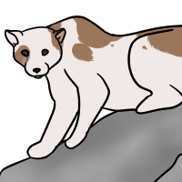 Thumbnail for ANI-3077: Piebald Cougar (M)