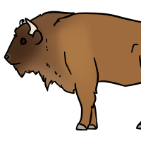 Thumbnail for ANI-3108: European Bison (F)