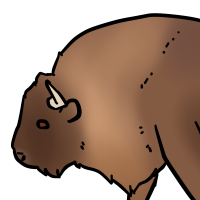 Thumbnail for ANI-3109: European Bison (M)