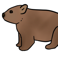 Thumbnail of ANI-3116: Common Wombat (M)