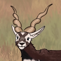 Thumbnail for ANI-3123: Blackbuck (M)