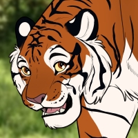 Thumbnail for ANI-3145: Siberian Tiger (F)