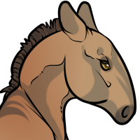 Thumbnail for ANI-3159: Przewalski's Horse (M)