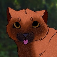 Thumbnail for ANI-3162: Bush Dog (F)