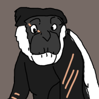 Thumbnail for ANI-3187: Mantled Guereza (M)