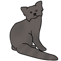 Thumbnail for ANI-3208: Blue & Melanistic Red Panda (F)