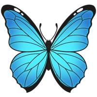 ANI-3223: Menelaus Blue Morpho (M)