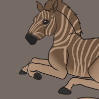 Thumbnail for ANI-3251: Quagga (M)