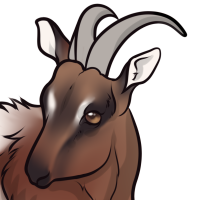 Thumbnail image for ANI-3268: noor