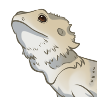 Thumbnail image for ANI-3274: yindi