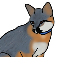 Thumbnail for ANI-3281: Island Fox (M)