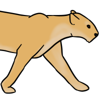 Thumbnail for ANI-3283: Masai Lion (F)