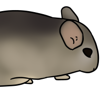 Thumbnail for ANI-3285: Long-tailed Chinchilla (M)
