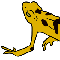 Thumbnail for ANI-3291: Panamanian Golden Frog (F)