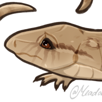 Thumbnail for ANI-3293: Raptor