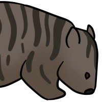 Thumbnail for ANI-3295: Species-Specific Common Wombat (F)
