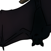 Thumbnail for ANI-3296: Black Flying Fox (M)