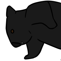 Thumbnail for ANI-3303: Melanistic Common Wombat (F)